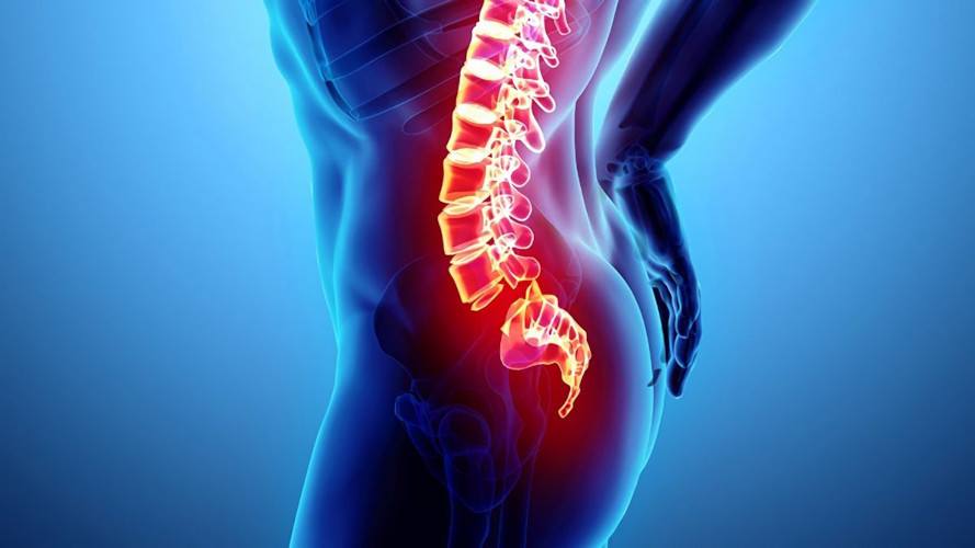 ΚΟΚΚΥΓΟΔΥΝΙΑ