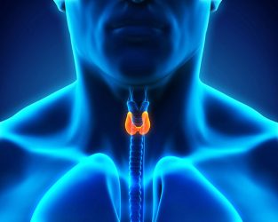 karkinos thyroeidous1