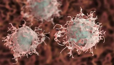 Μελάνωμα, Melanoma